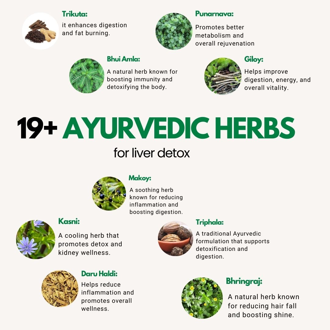 LIVER DETOX - For Fatty Liver Care